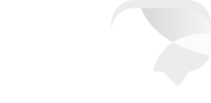 SAP Partner